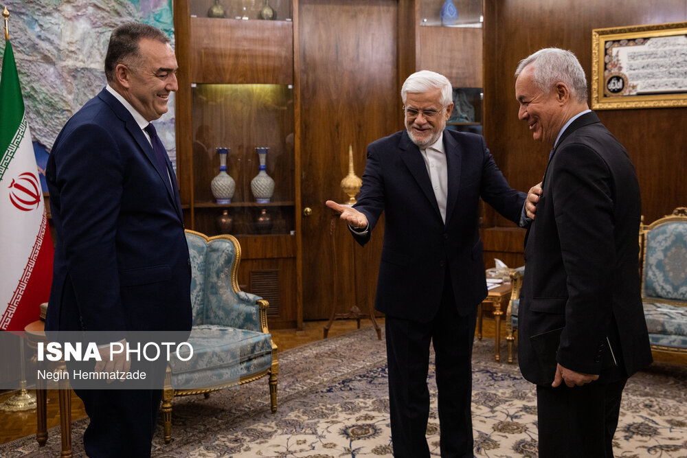 دیدار وزیر انرژی تاجیکستان با معاون اول رئیس جمهور