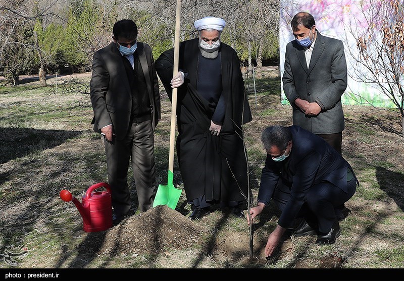 کاشت یک اصله نهال توسط روحانی