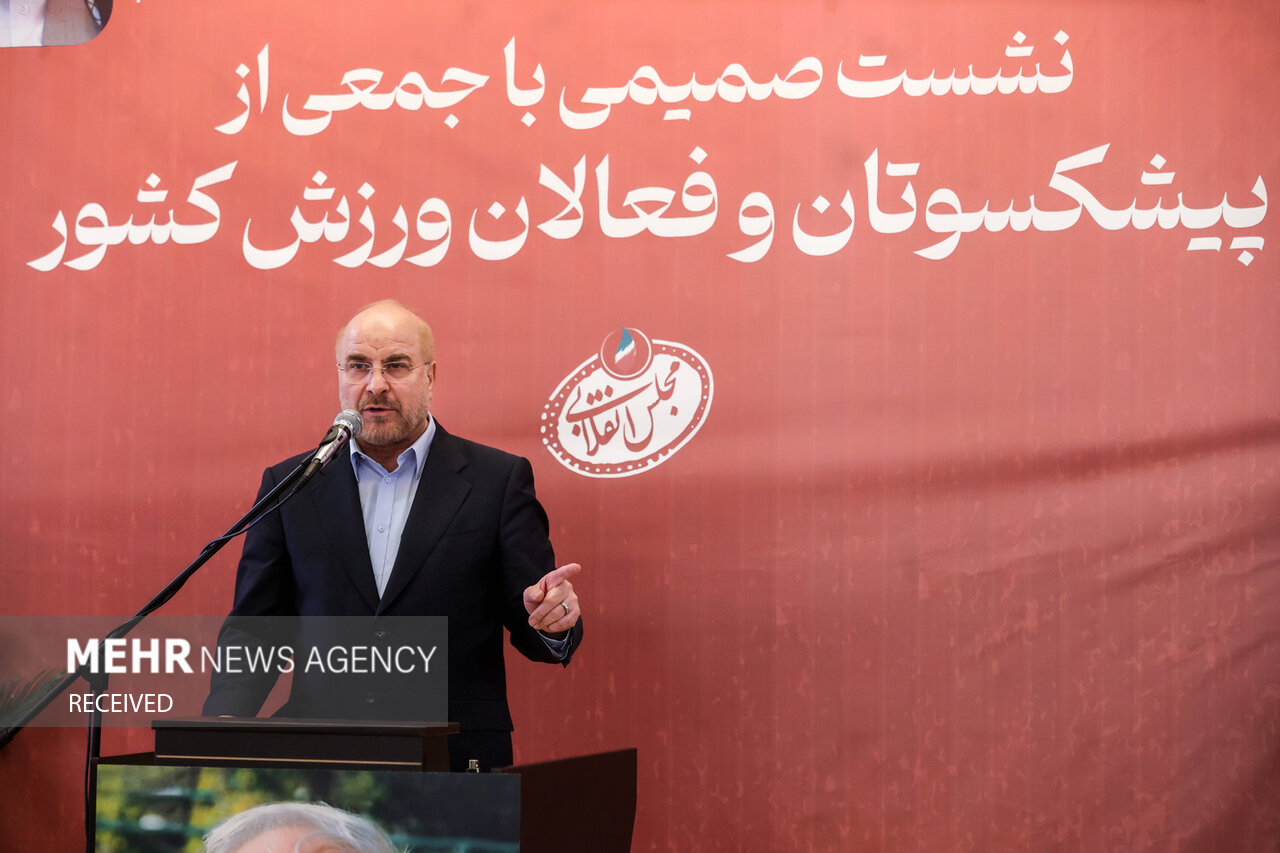 نشست صمیمی جمعی از پیشکسوتان و فعالان ورزش کشور با رئیس مجلس