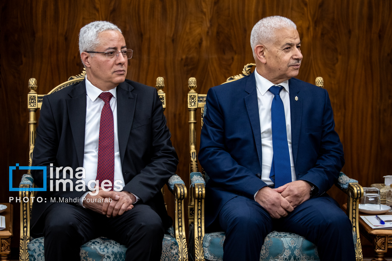 دیدار وزیر تجارت و صنایع دستی تونس با عارف