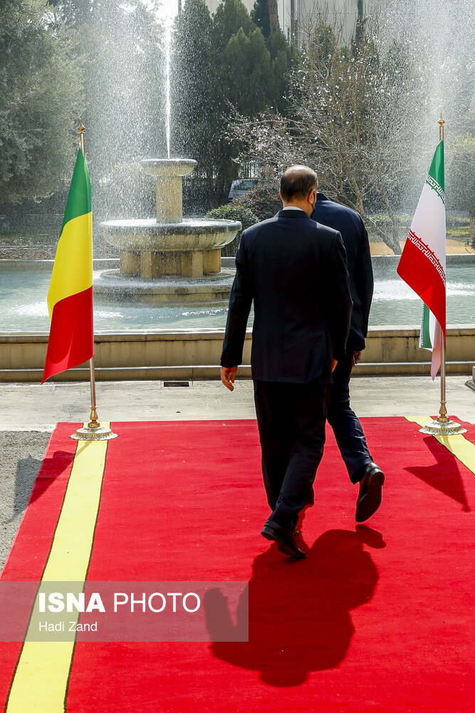 دیدار وزیران امور خارجه ایران و مالی