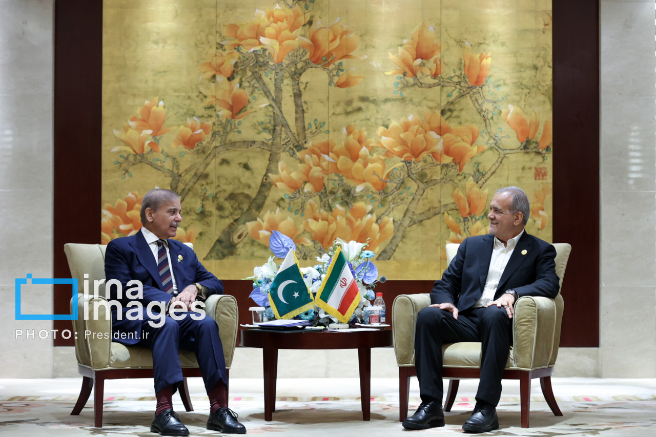 دیدار نخست وزیر پاکستان با رئیس جمهور