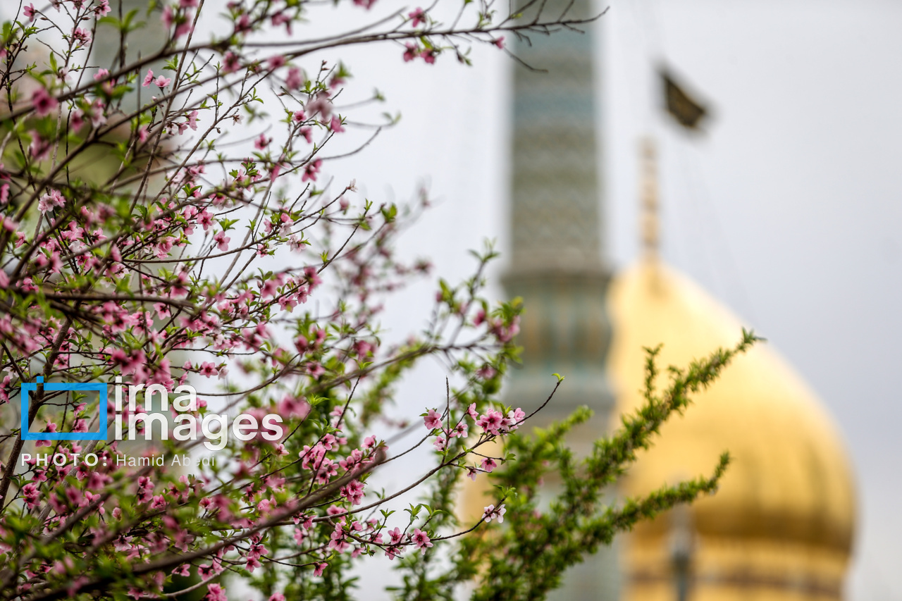 تحویل سال ۱۴۰۴ در حرم حضرت معصومه (س)