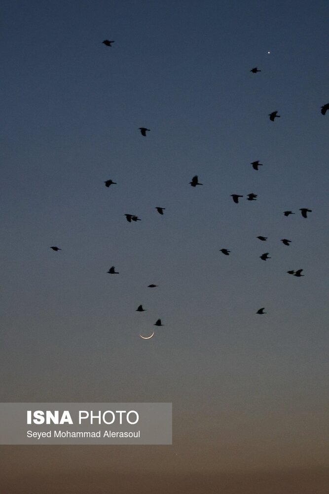 استهلال ماه مبارک رمضان - مشهد