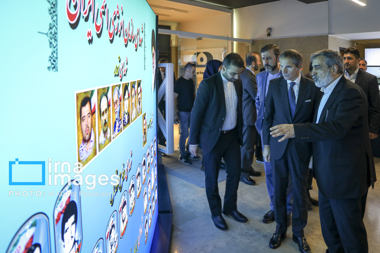 دیدار مدیر کل آژانس با رئیس سازمان انرژی اتمی