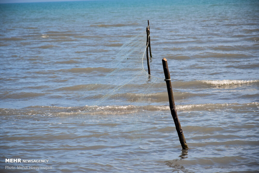 تورهای غیر مجاز ماهیگیری 