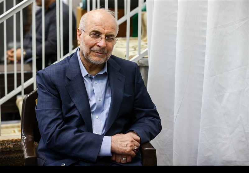 دیدار رئیس مجلس با آیت‌الله شبیری زنجانی