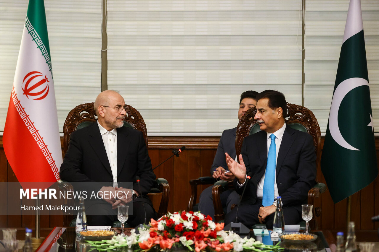 اولین روز سفر رئیس مجلس به پاکستان