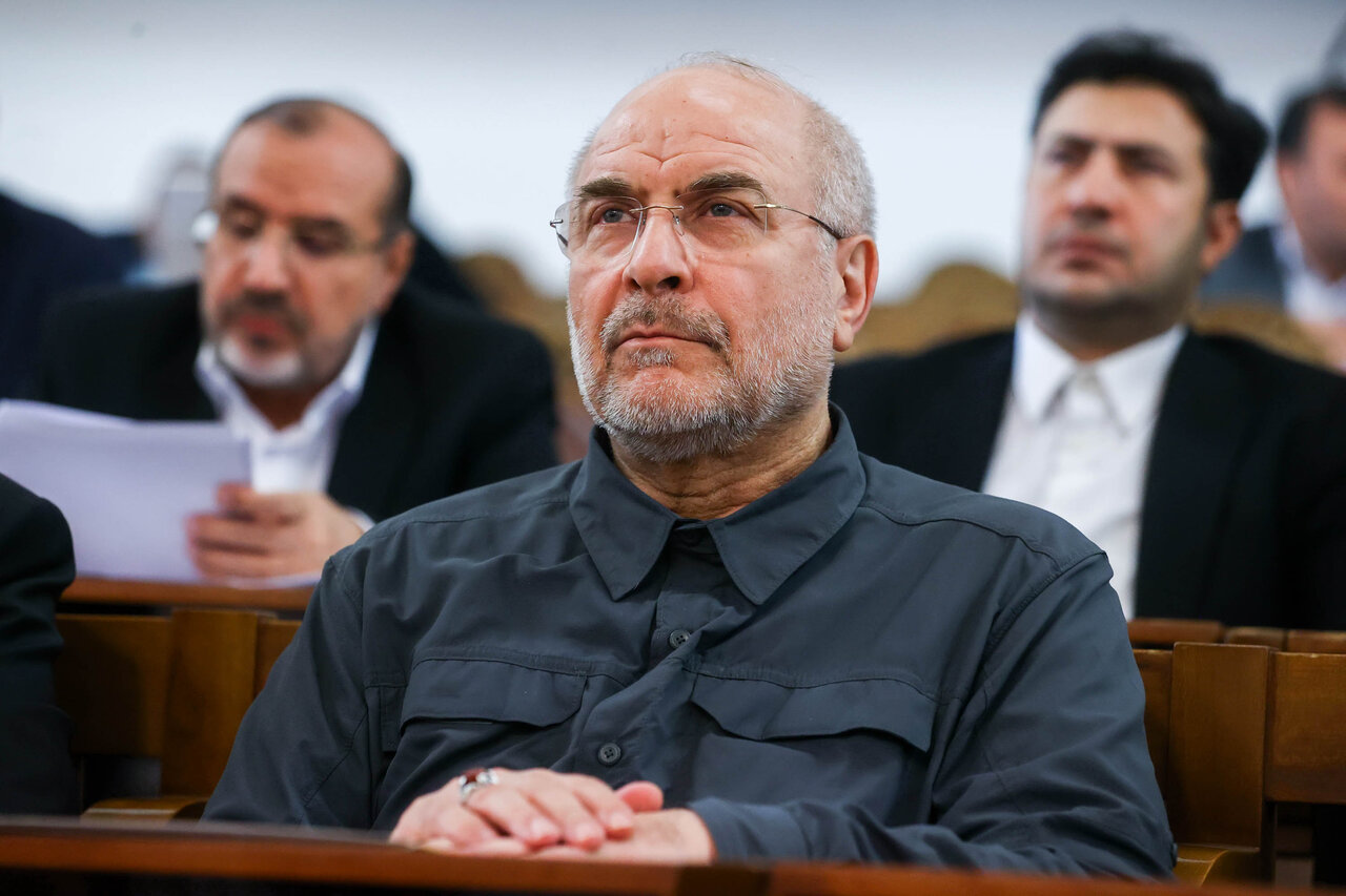 رئیس مجلس در همایش ناظران شورا‌ها