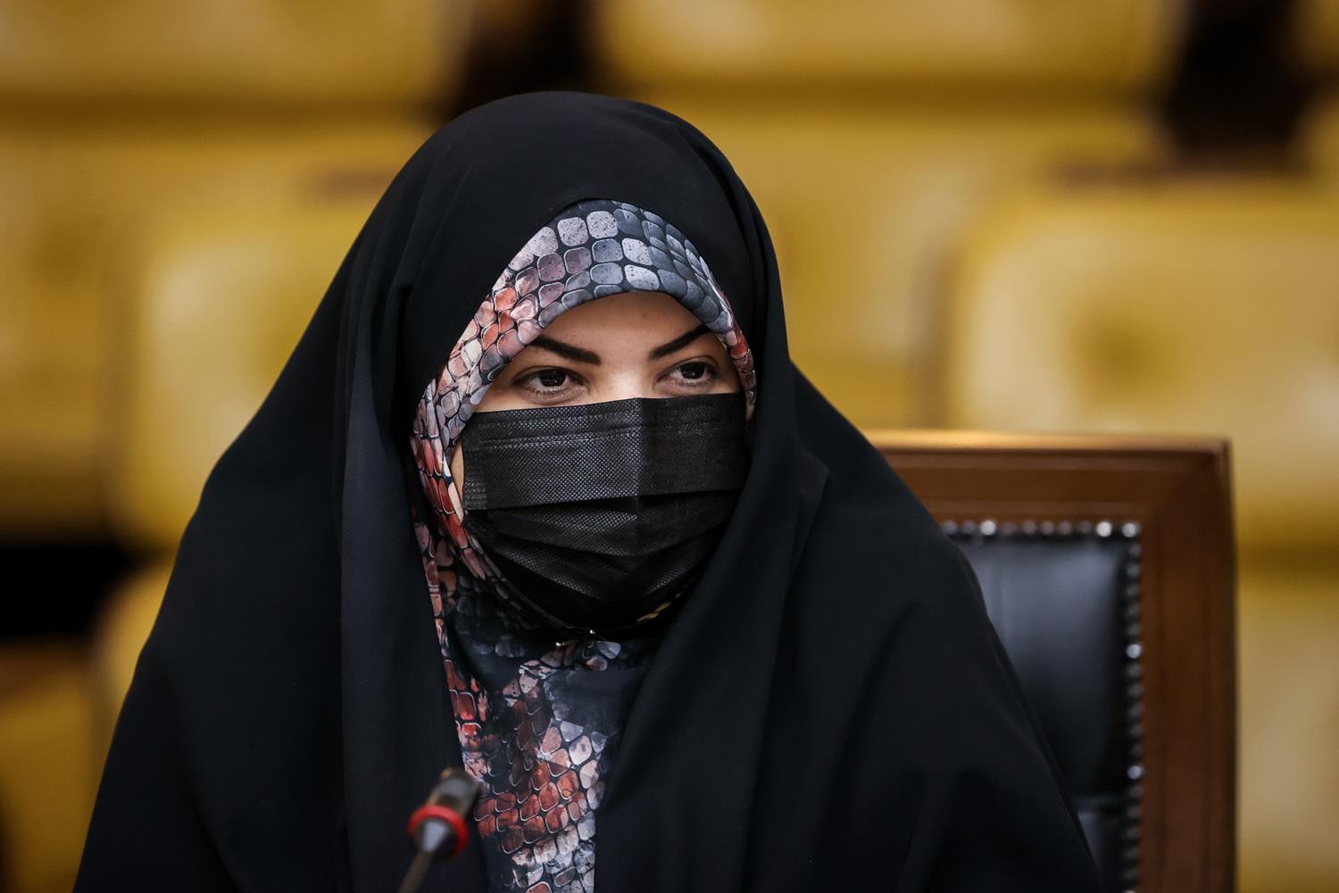 جلسه بررسی لایحه ارتقای امنیت زنان