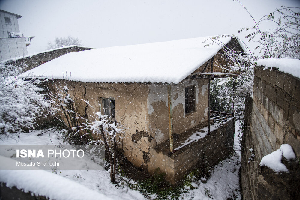 حال و هوای برفی ساری