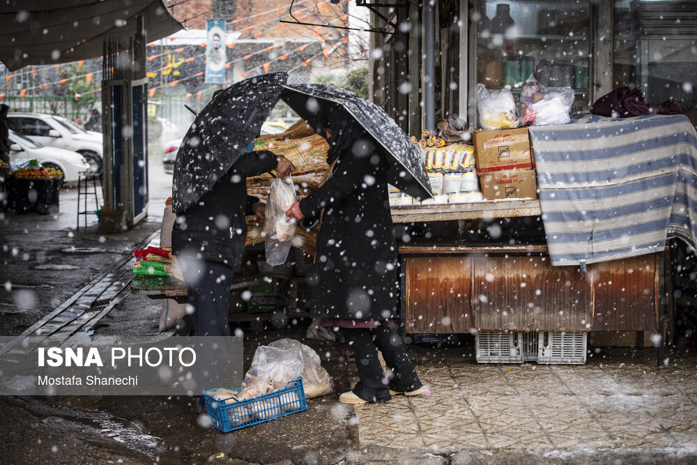 حال و هوای برفی ساری