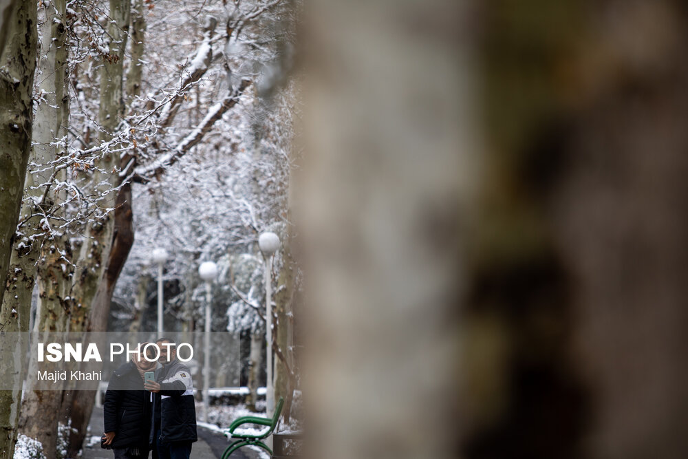 بارش برف در تهران