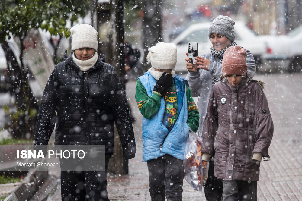 حال و هوای برفی ساری