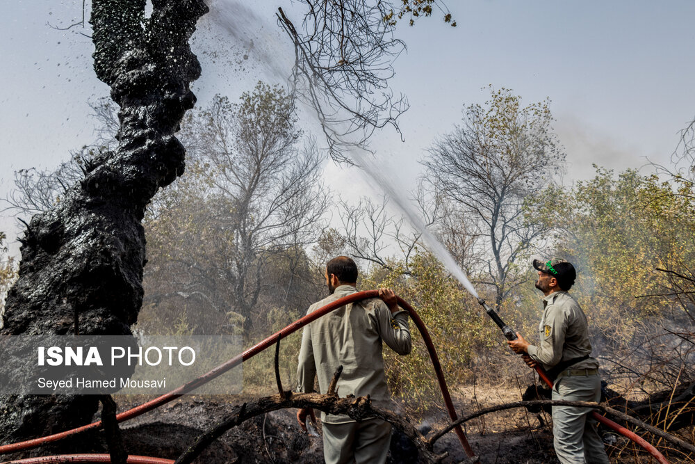 مهار آتش سوزی جنگل کرخه در شوش