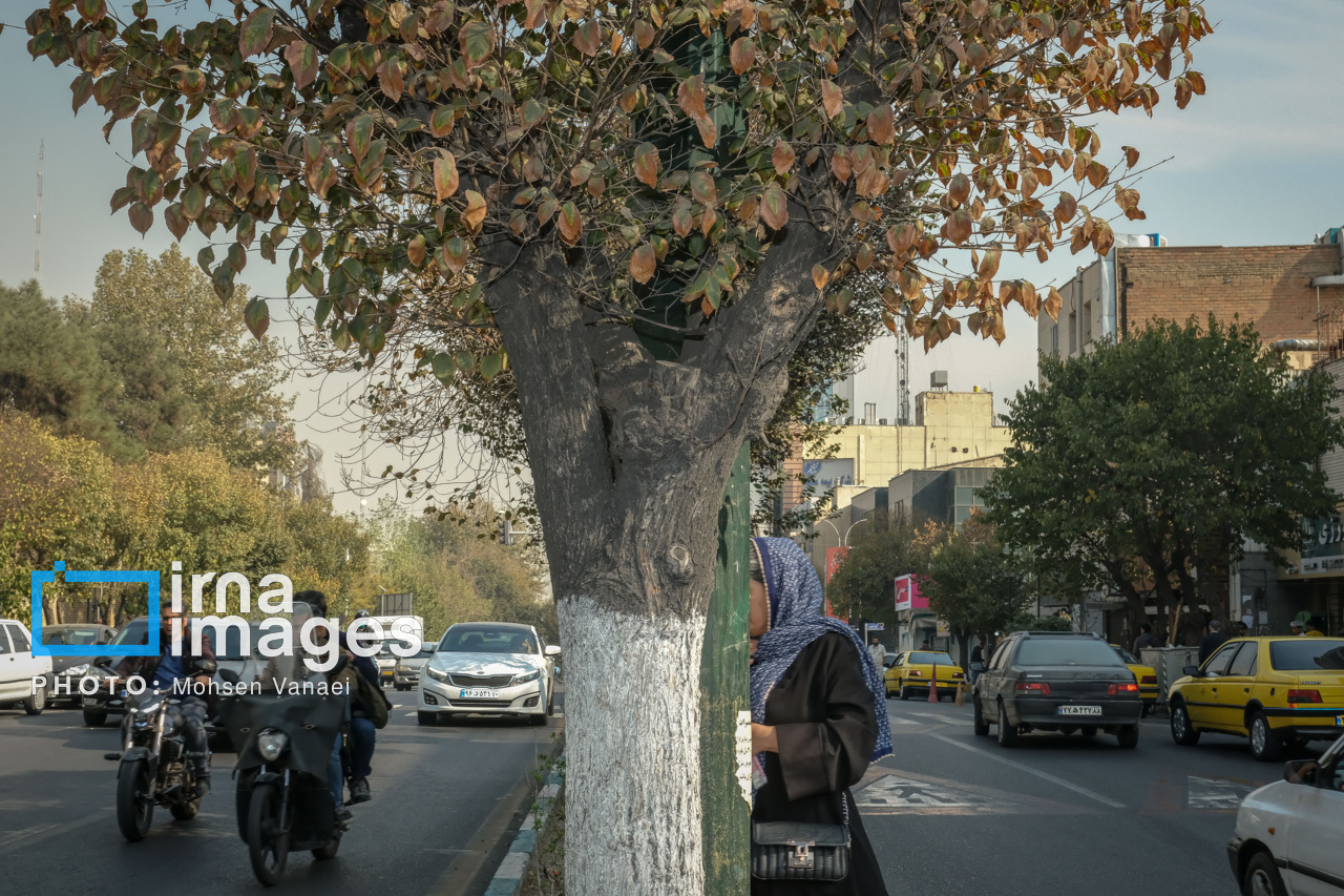 پاییز بی‌رنگ پایتخت