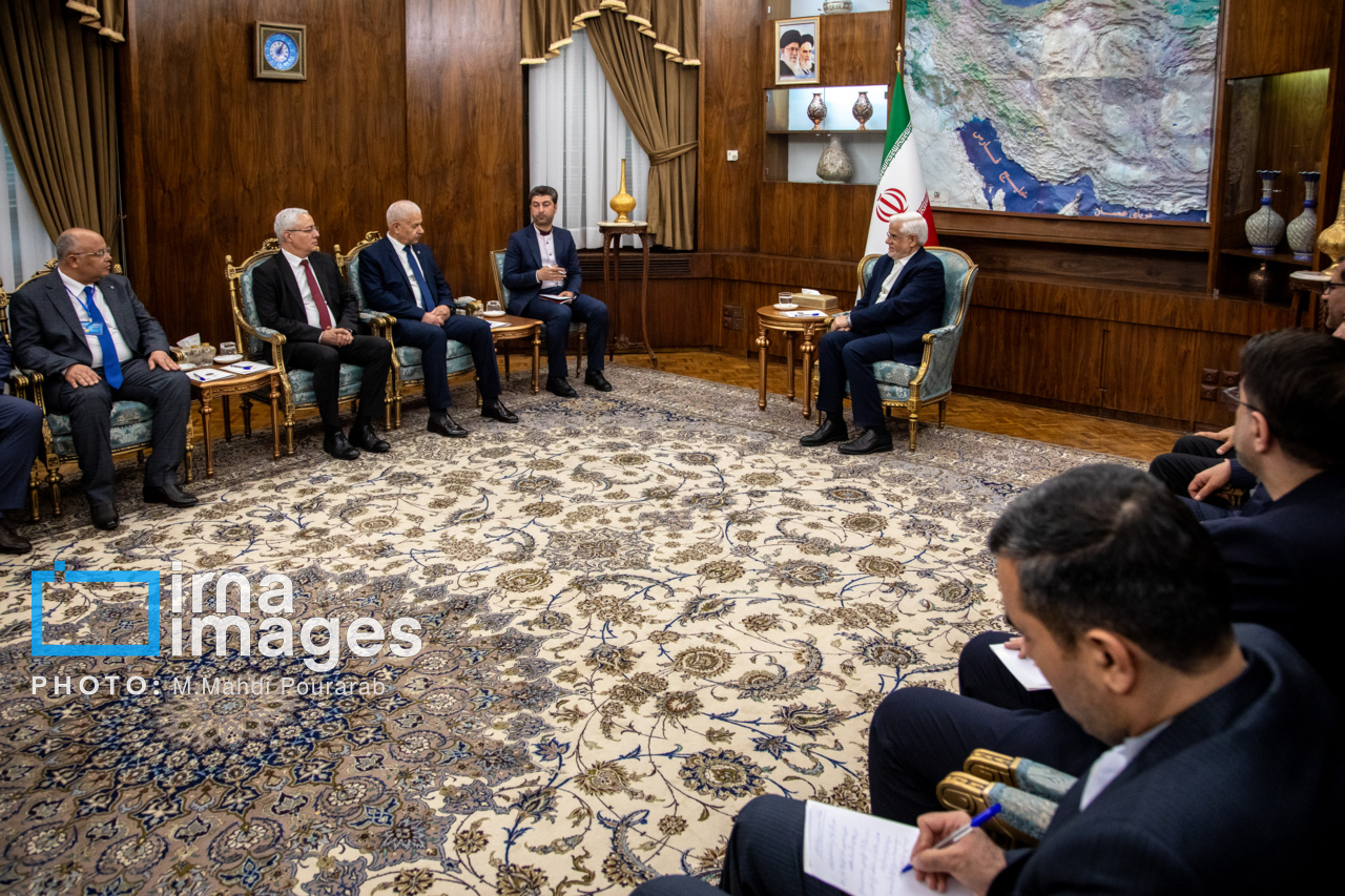 دیدار وزیر تجارت و صنایع دستی تونس با عارف