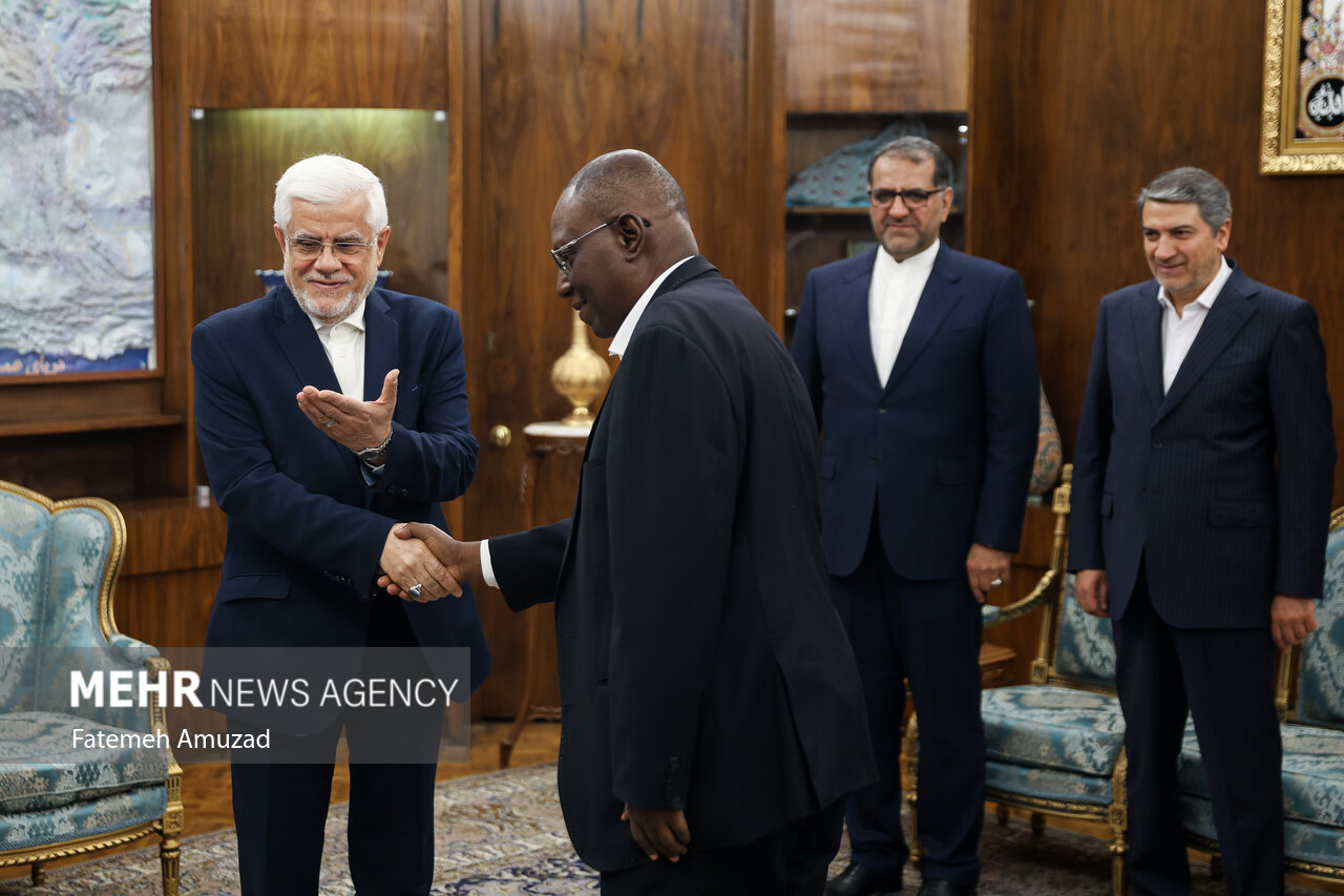 دیدار معاون اول رییس جمهور با وزیر نفت نیجر