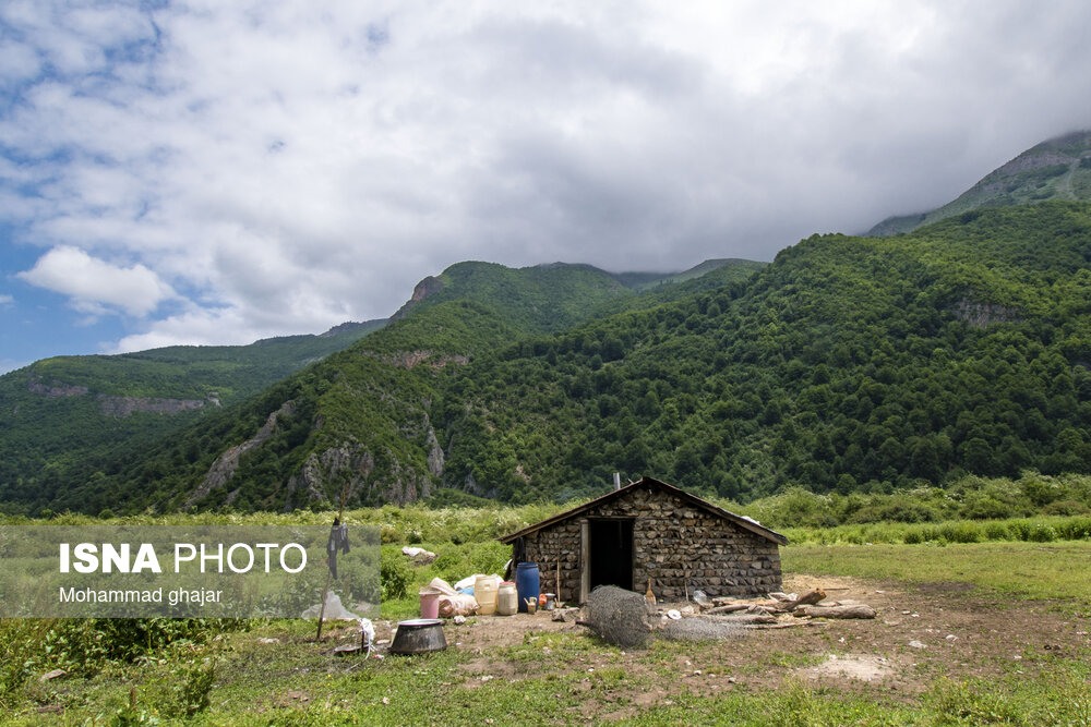 دشت دریاسر در تنکابن