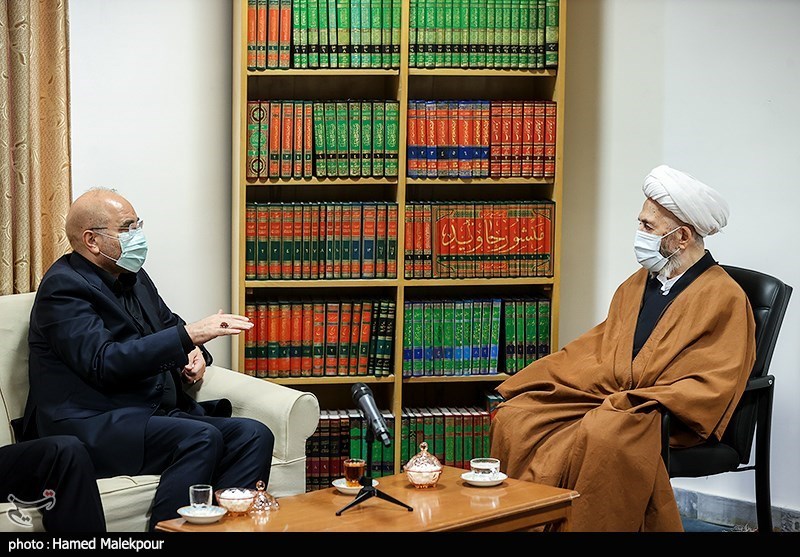 دیدار رئیس مجلس با مراجع عظام تقلید - قم