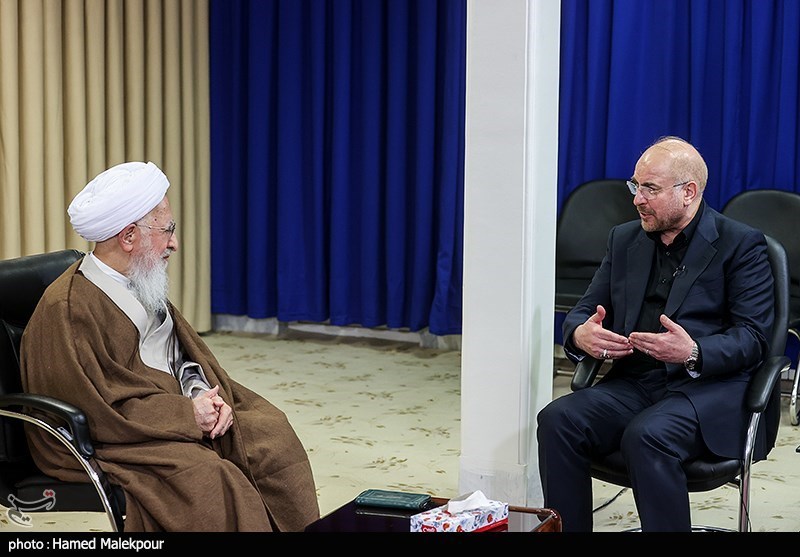 دیدار رئیس مجلس با مراجع عظام تقلید - قم