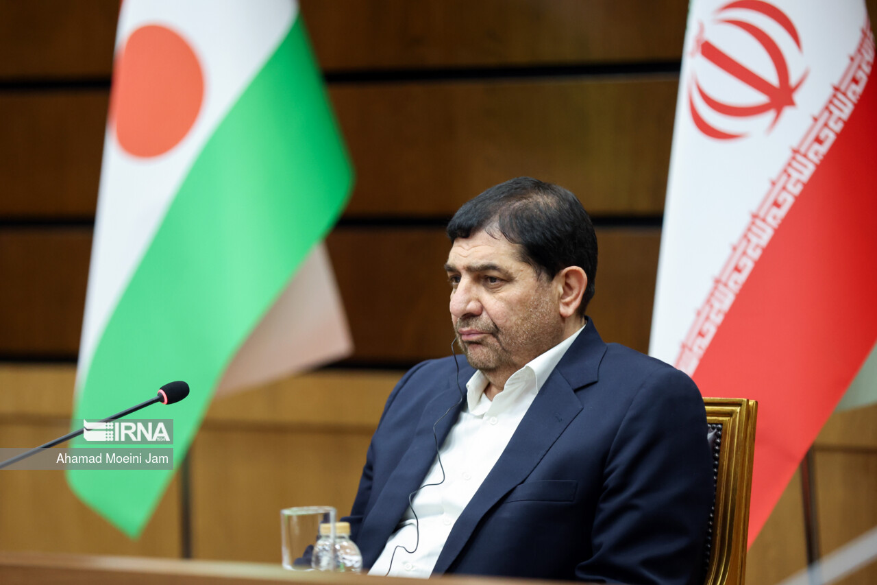 استقبال محمد مخبر از نخست وزیر نیجر