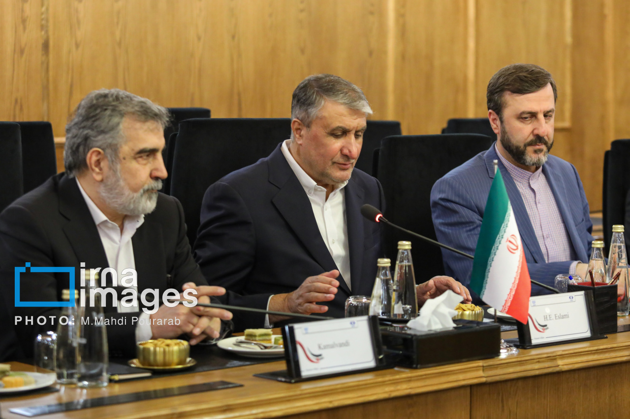 دیدار مدیر کل آژانس با رئیس سازمان انرژی اتمی
