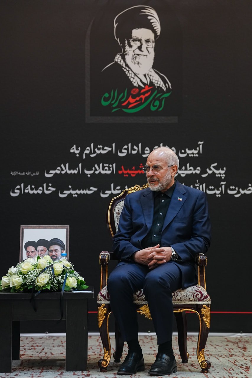 دیدار معاون کنگره خلق چین  با قالیباف