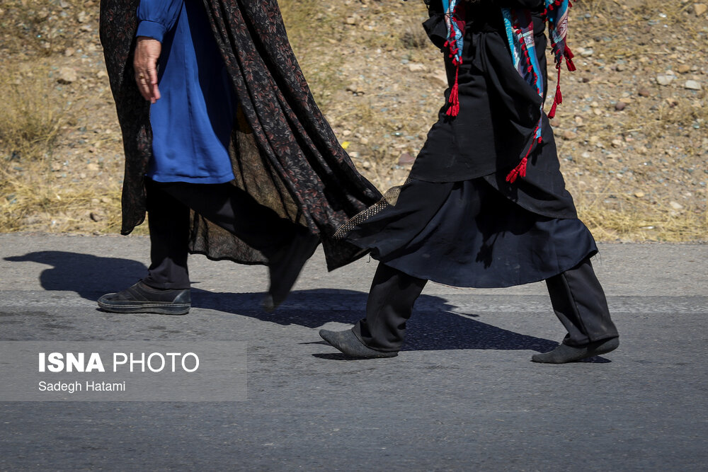 زائران پیاده حرم امام رضا (ع)