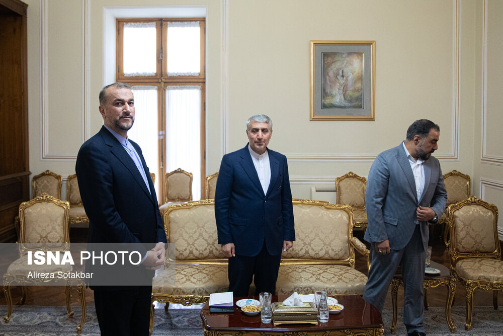 دیدار دبیر شورای امنیت ملی ارمنستان با امیرعبداللهیان