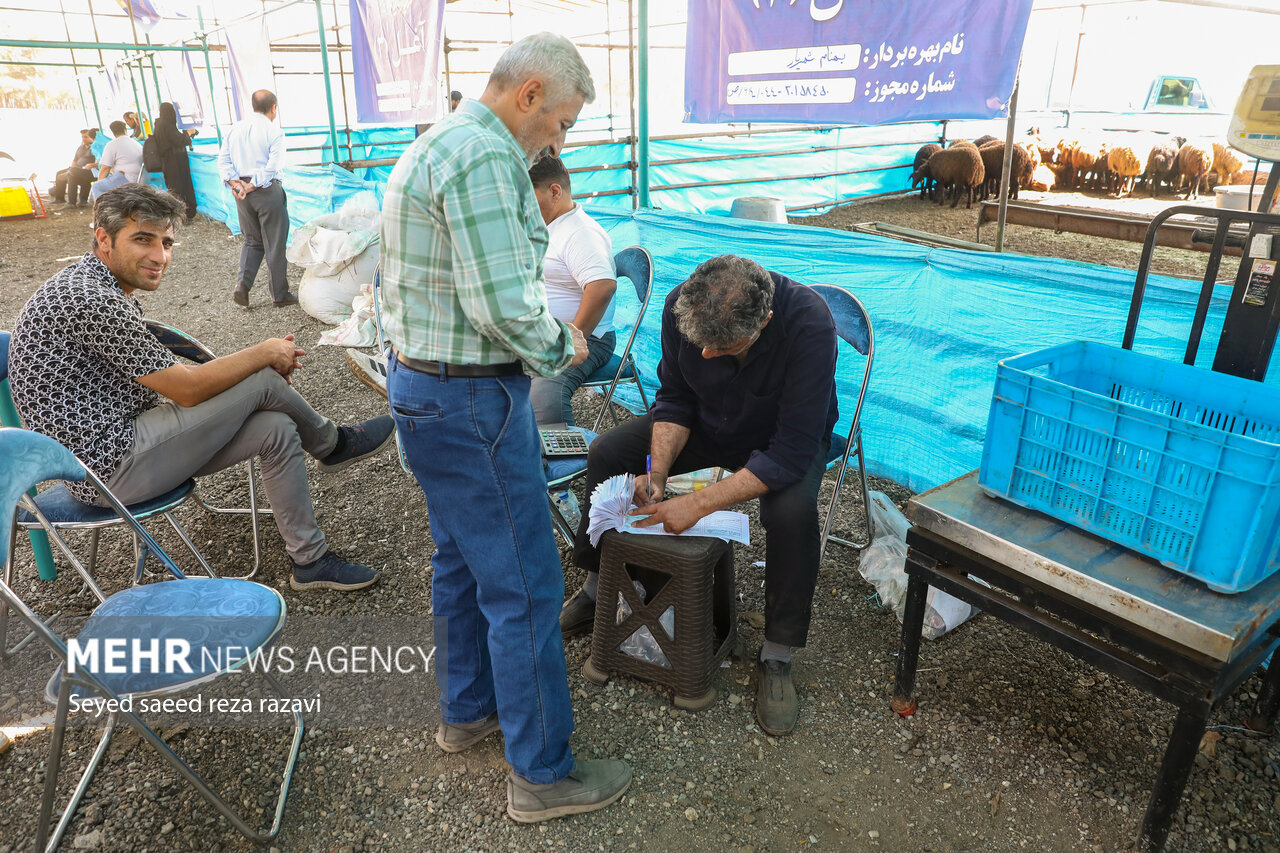 خرید و ذبح دام عید قربان در تهران
