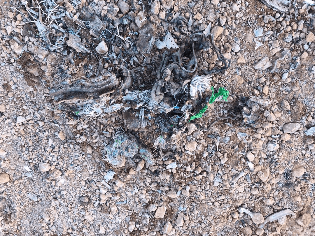 تصاویر دومین جنگنده F35 ساقط شده