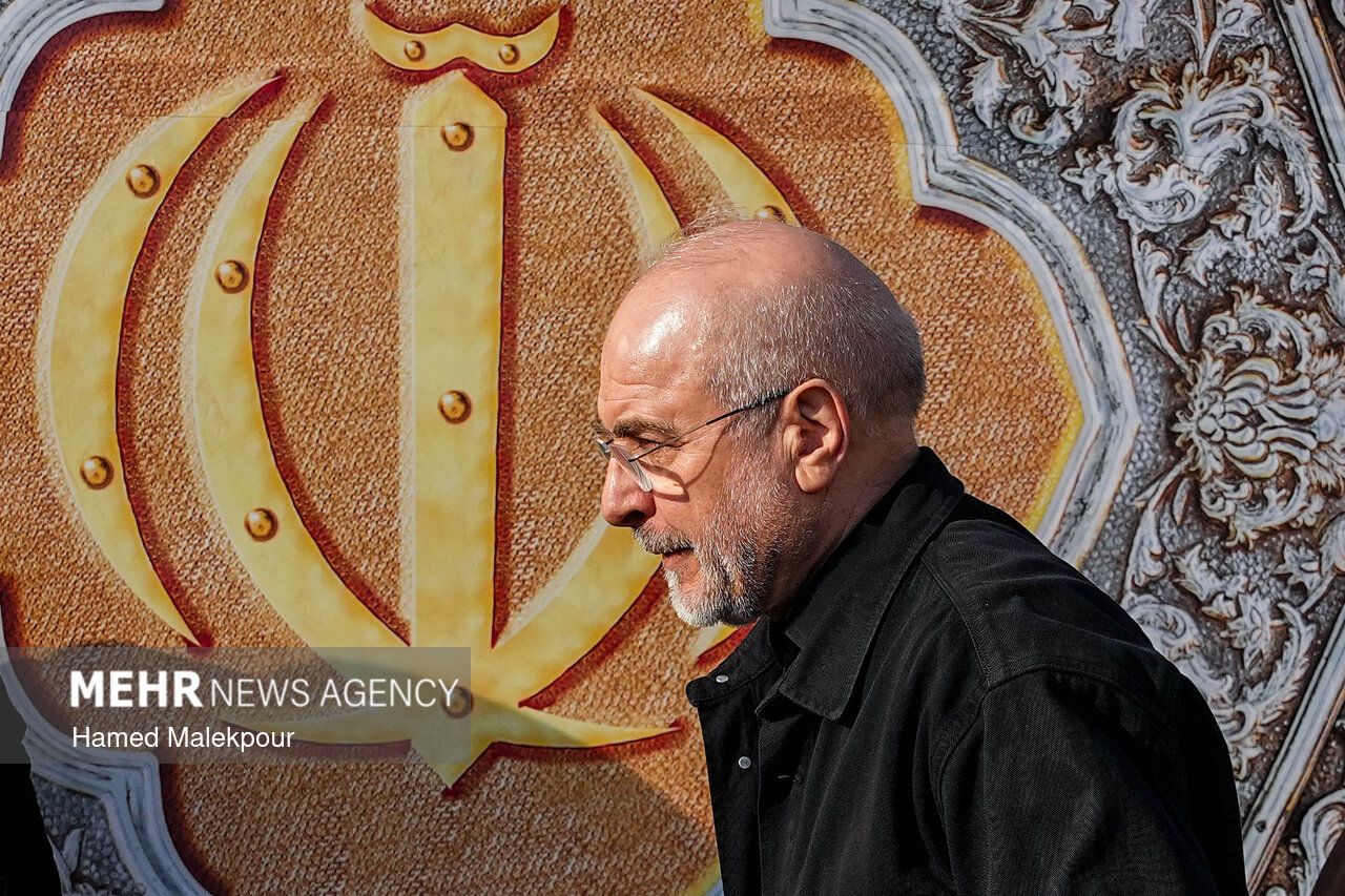 تجمع همبستگی ملی با سخنرانی رئیس مجلس