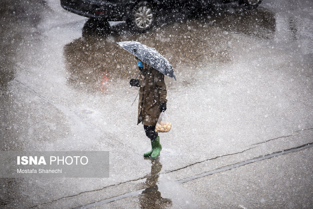 حال و هوای برفی ساری