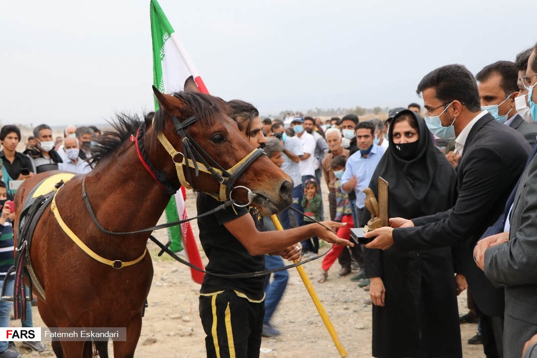 مسابقات اسب‌دوانی