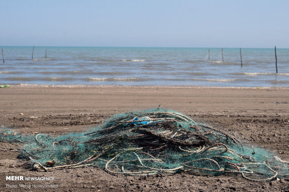 تورهای غیر مجاز ماهیگیری 