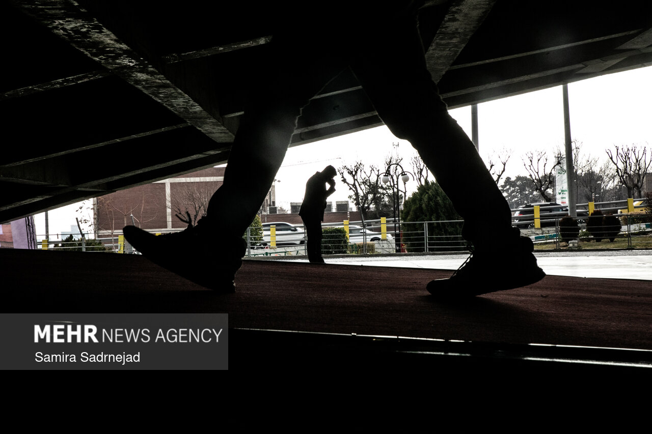 جشنواره فیلم فجر