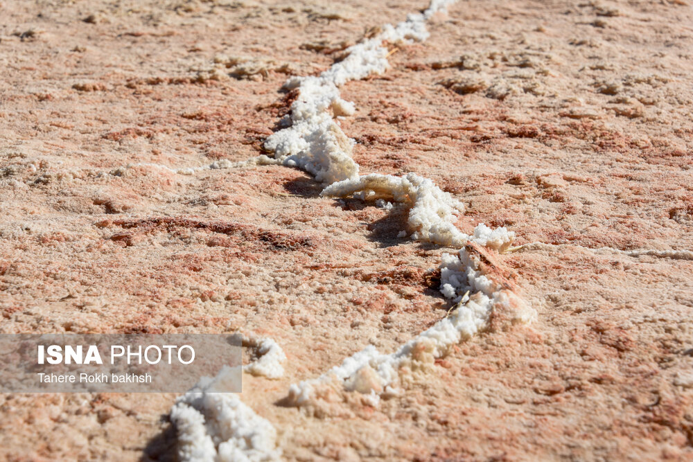 تصاویر: خشک شدن دریاچه مهارلو - شیراز