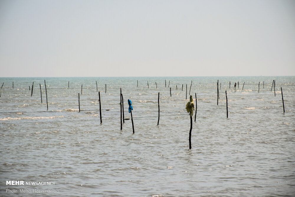 تورهای غیر مجاز ماهیگیری 