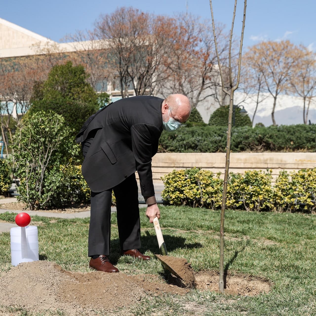 کاشت نهال توسط قالیباف در روز درختکاری