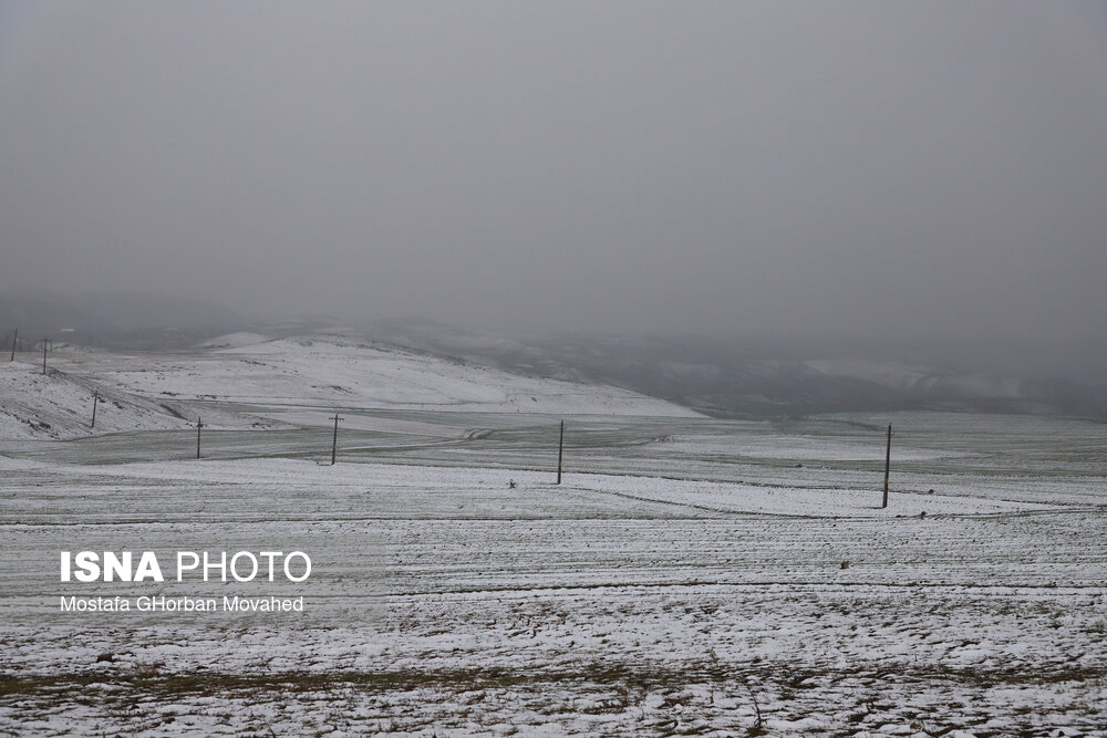 بارش برف بهاری - اهر