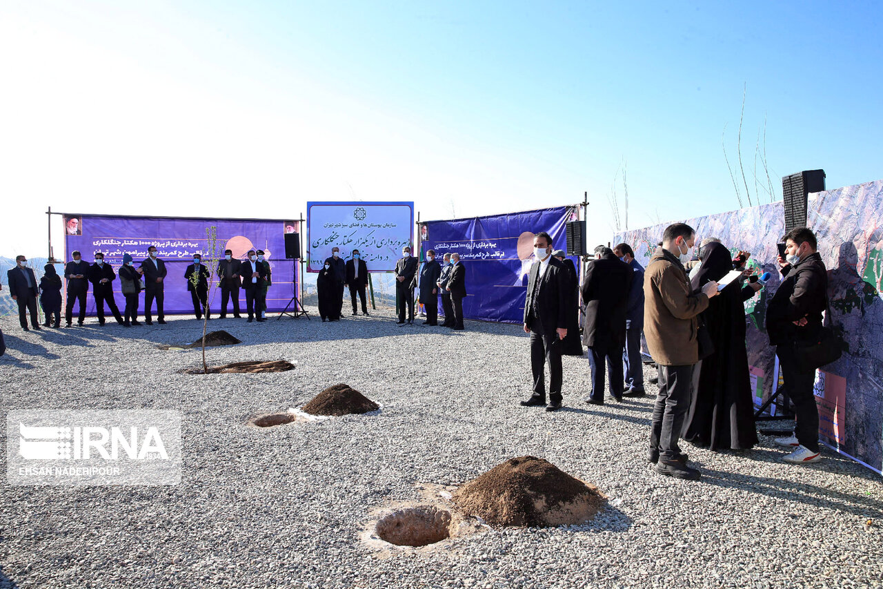 کاشت نهال توسط جهانگیری