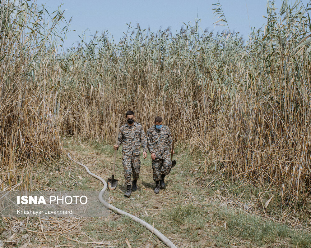 آتش‌سوزی در مرداب انزلی