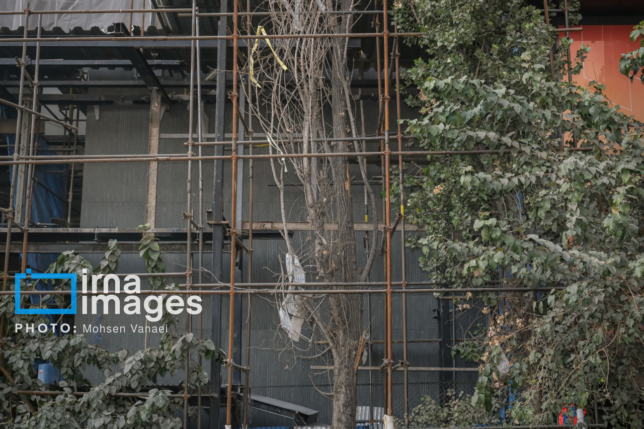 پاییز بی‌رنگ پایتخت