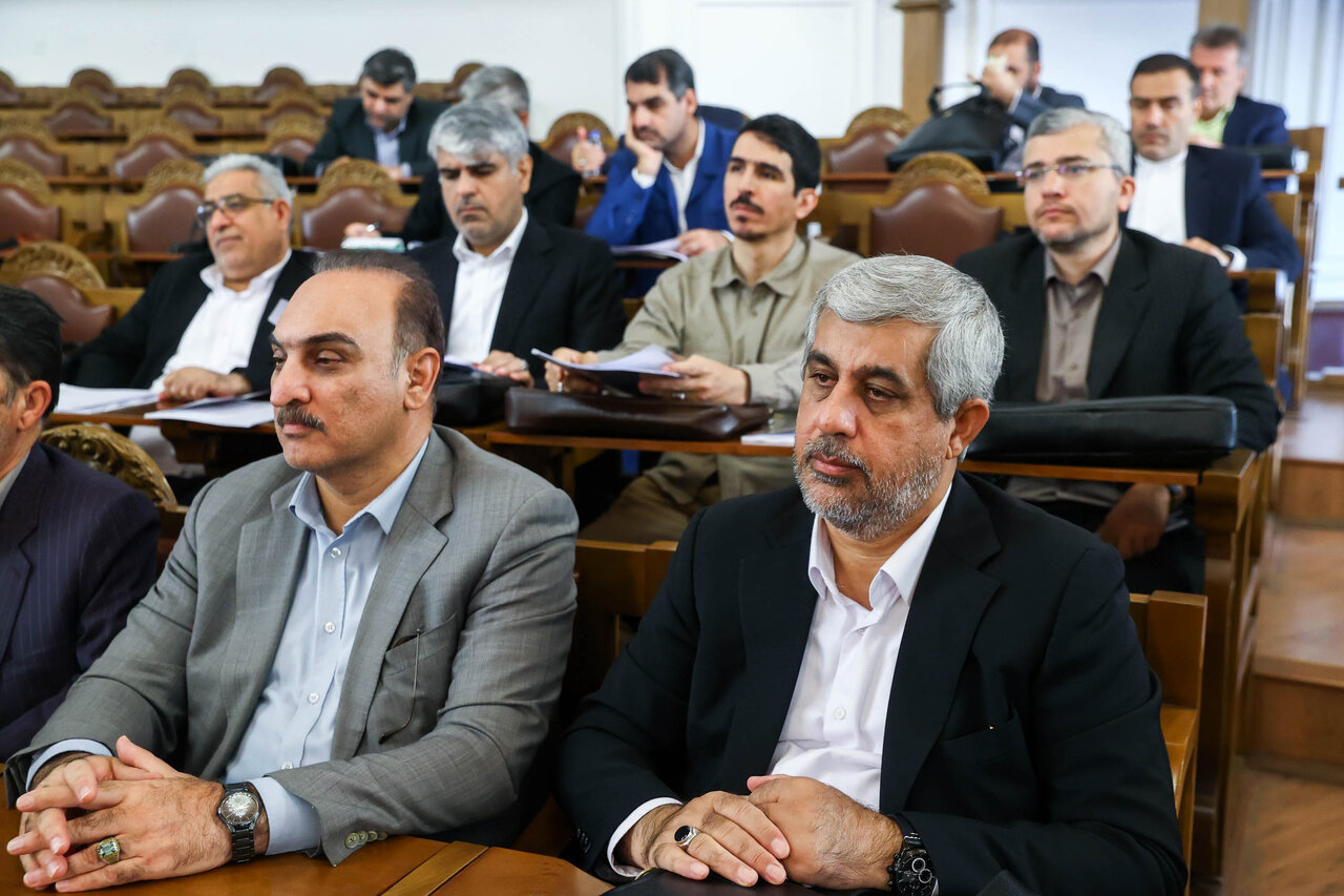 رئیس مجلس در همایش ناظران شورا‌ها