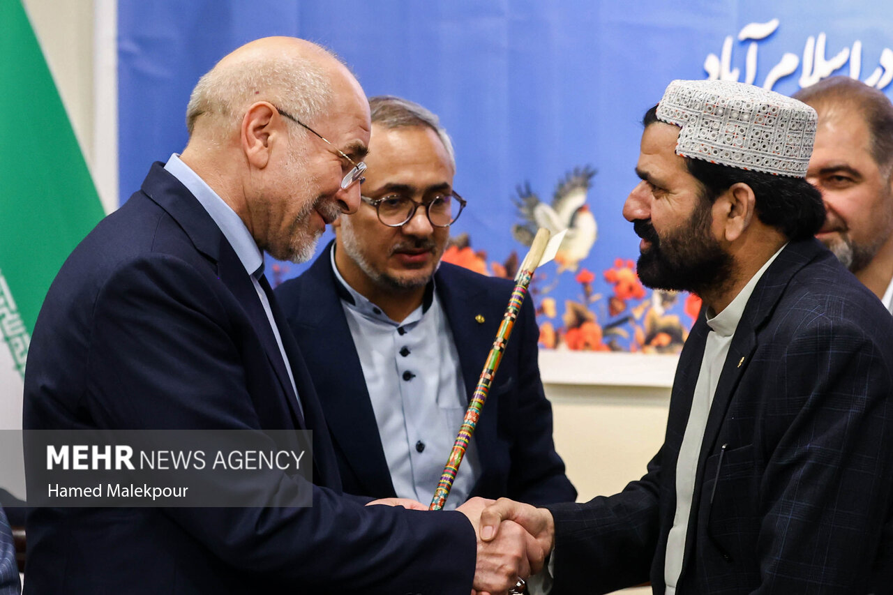 دومین روز سفر رئیس مجلس به پاکستان