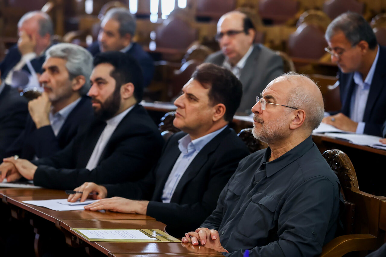 رئیس مجلس در همایش ناظران شورا‌ها