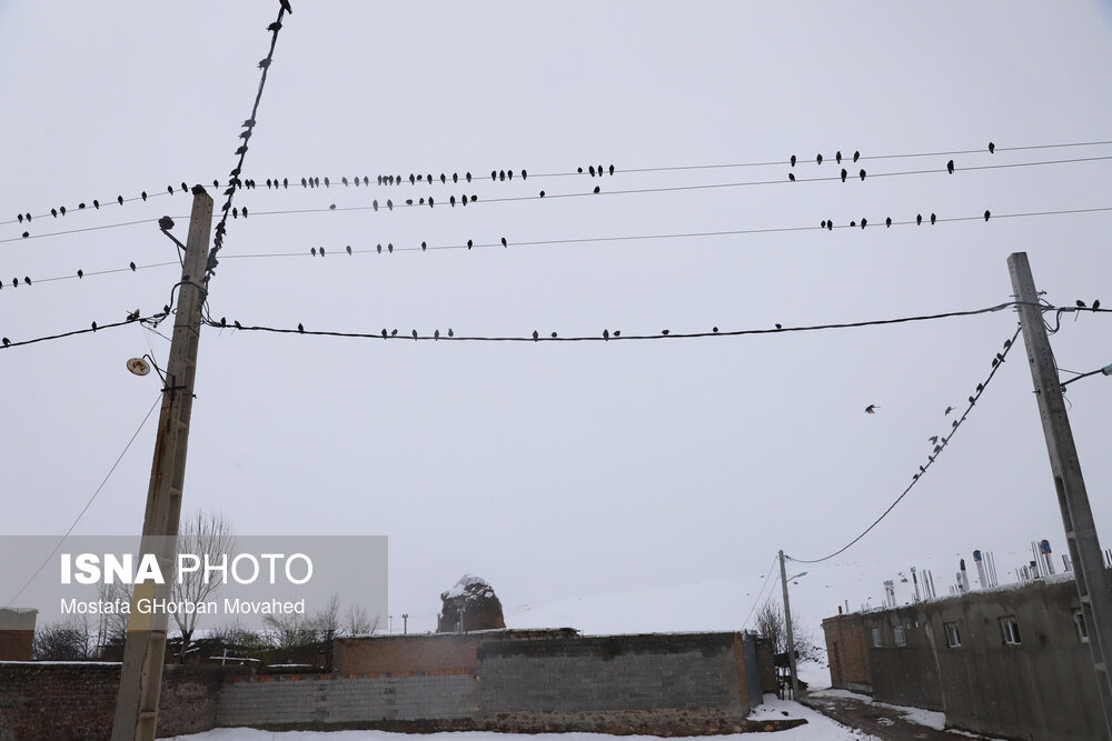 بارش برف بهاری - اهر