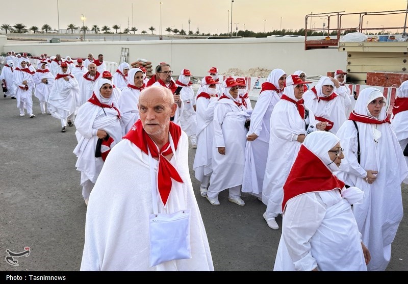 بازدید سرپرست حجاج ایرانی از مسجد شجره