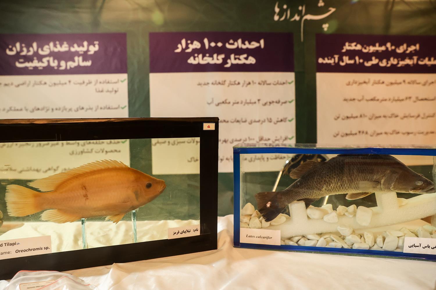 بازدید قالیباف از نمایشگاه توانمندی‌های تولید داخل